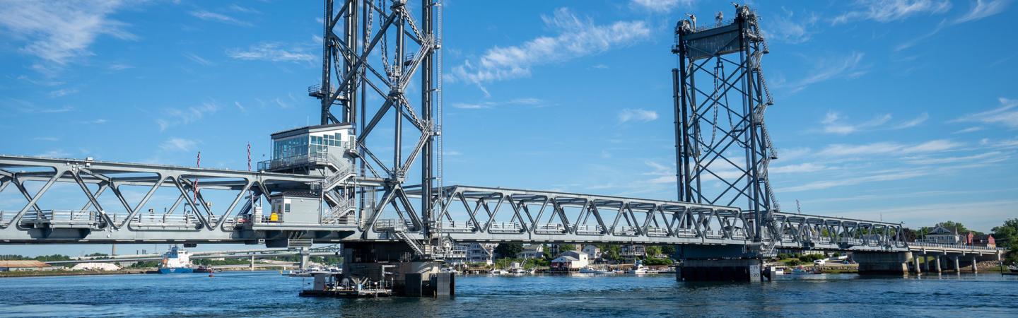 Living-Bridge-Project