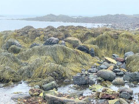 Odiorne Point State Park