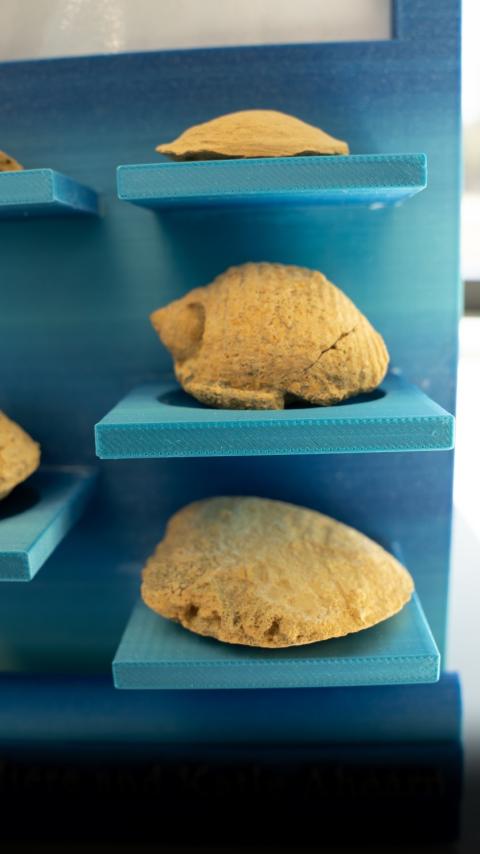 AncientSeasMeetModernManufacturingattheOlsonCenter_4