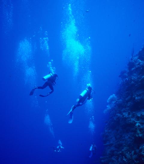 Divers, French Cay, Turks & Caicos 