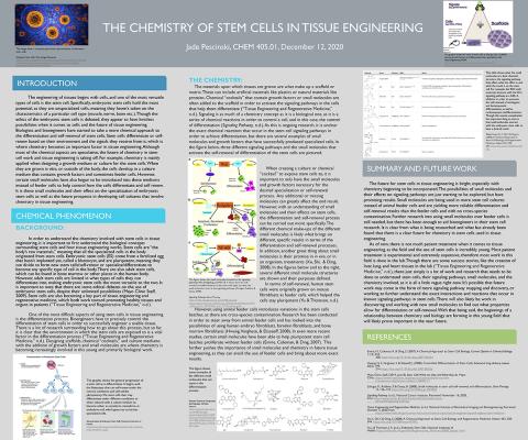 THE CHEMISTRY OF STEM CELLS IN TISSUE ENGINEERING, Jade Pescinski