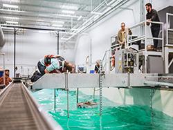 Engineers conducting researcher in the wave tow flume. 