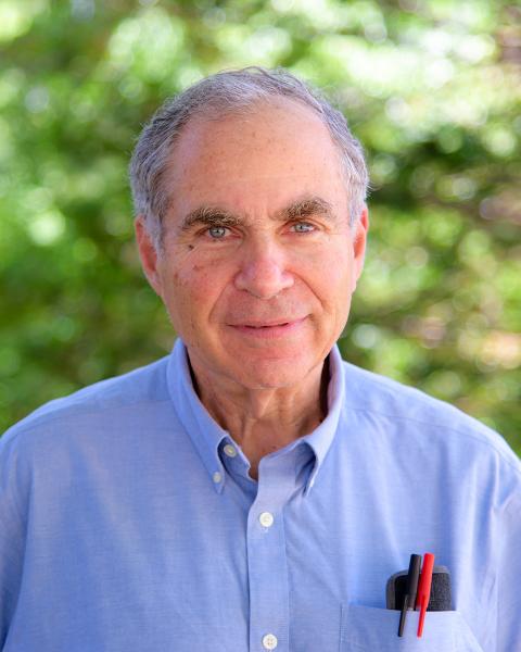 Professor Art Greenberg