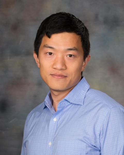 Professor Qi Zhang, PhD in Statistics
