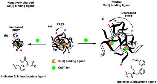 nagatively charges ligand figure